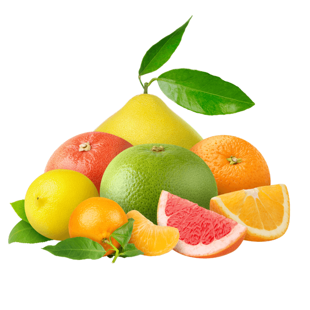 Citrus Bioflavonoids Image